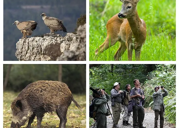 아파트 Merindades Amazul Corzo - Turistico -